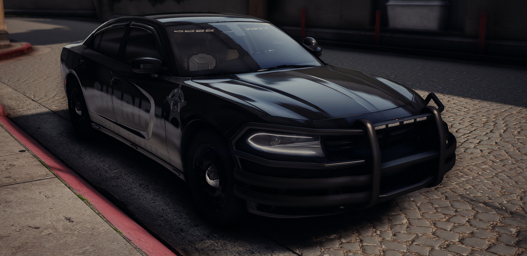 Lake County Sheriffs Office HCU 2023 Charger