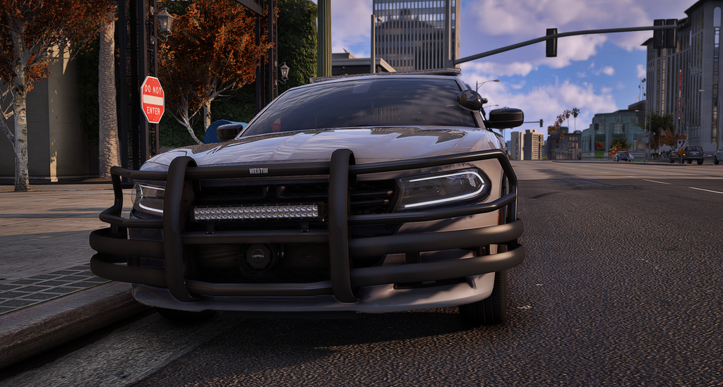 Effingham County Sheriff 2023 Charger Bundle