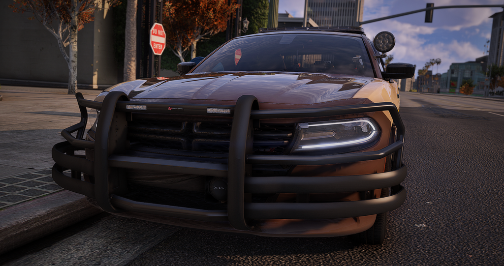 Lake County Sheriffs Office 2018 Integrity Charger