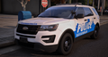 Savannah Police 2018 FPIU