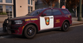 Minnesota State Patrol 25 Durango