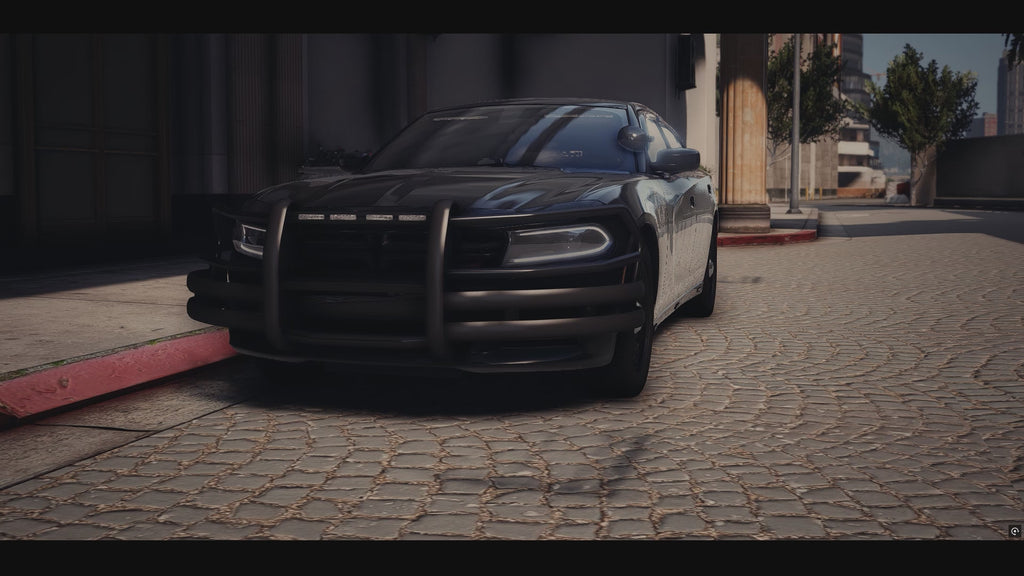 Lake County Sheriffs Office HCU 2023 Charger