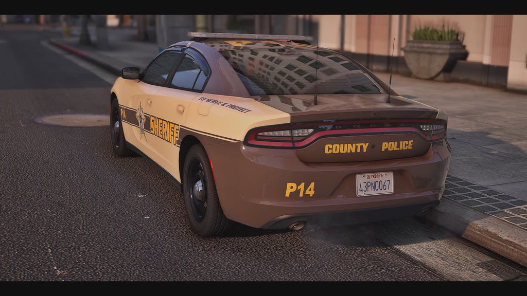 Lake County Sheriffs Office 2018 Charger
